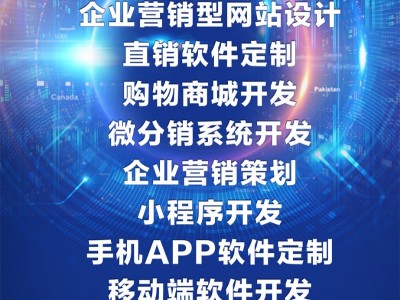 直销双轨制软件,双轨源码报单系统,