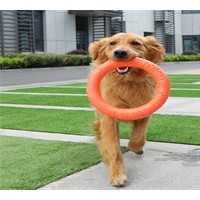 成都天府新区宠物学校宠物培训