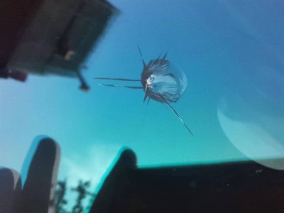 成都青羊专业汽车前挡风玻璃修补 修